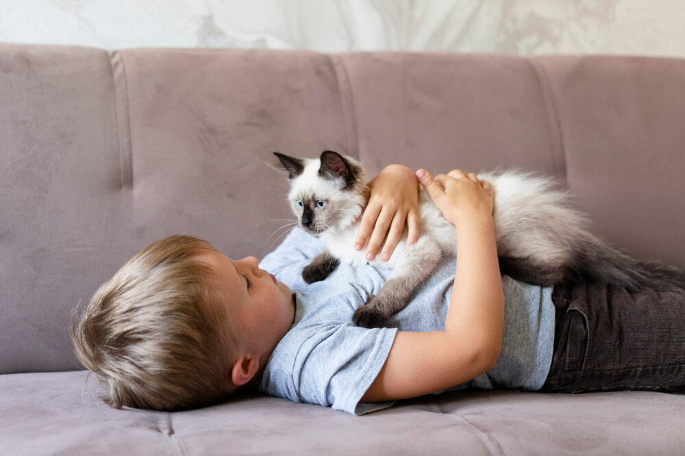 Imóveis pet friendly prontos para morar em São Paulo