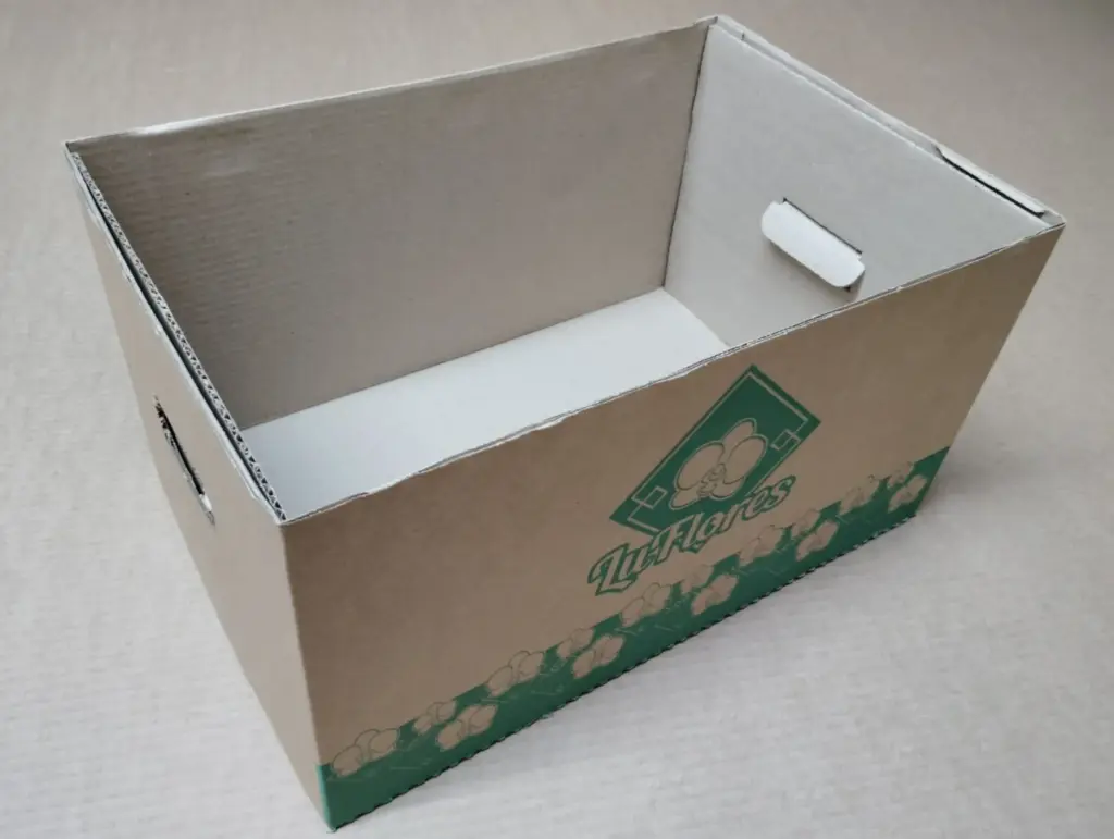 Fornecedor de caixas de papelão personalizadas SP: o que comparar antes