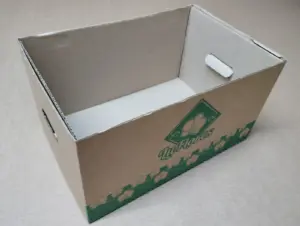 Fornecedor de caixas de papelão personalizadas SP: o que comparar antes